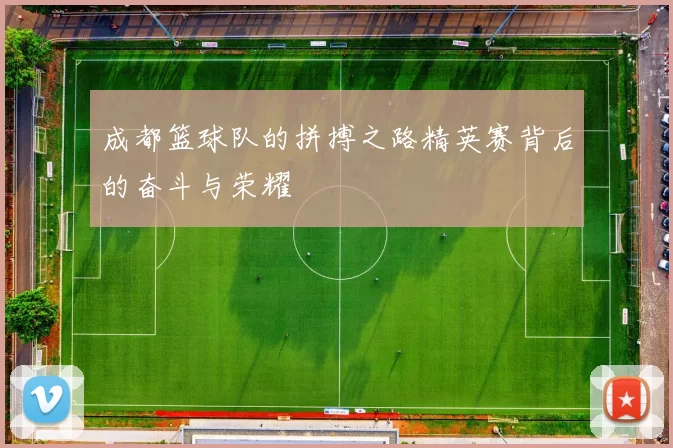 成都篮球队的拼搏之路精英赛背后的奋斗与荣耀