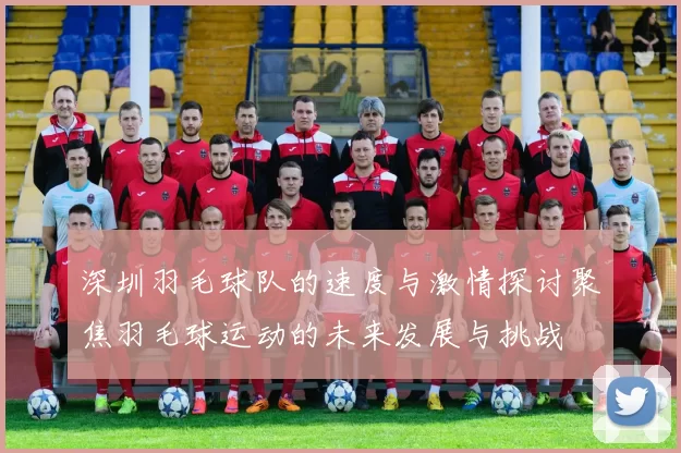 深圳羽毛球队的速度与激情探讨聚焦羽毛球运动的未来发展与挑战