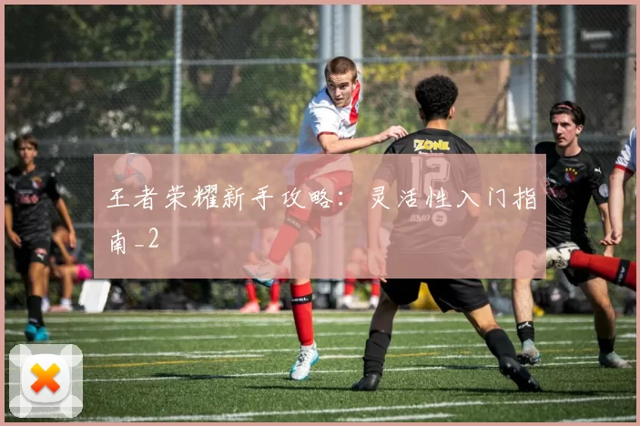 王者荣耀新手攻略：灵活性入门指南_2