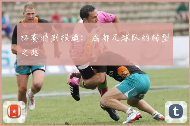 杯赛特别报道：成都足球队的转型之路