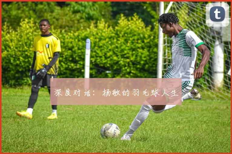 深度对话：杨敏的羽毛球人生