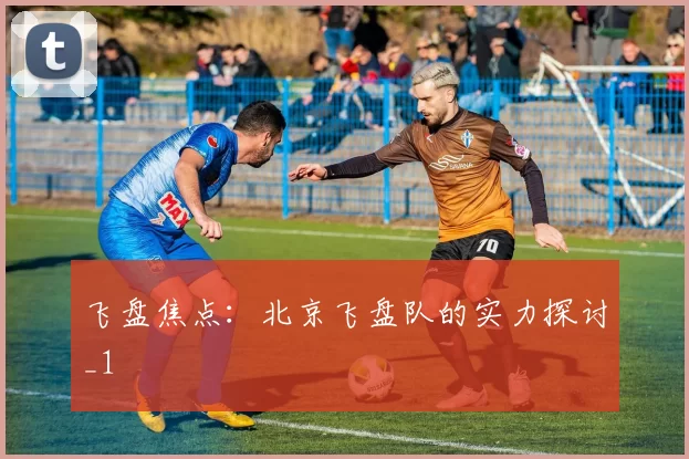 飞盘焦点：北京飞盘队的实力探讨_1