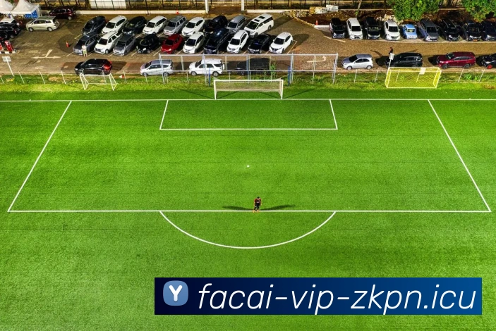 星空体育APP 封面图